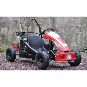 go-kart-vtt-electrique-de-500w-avec-moteur-sans-brosse-brushless (1)