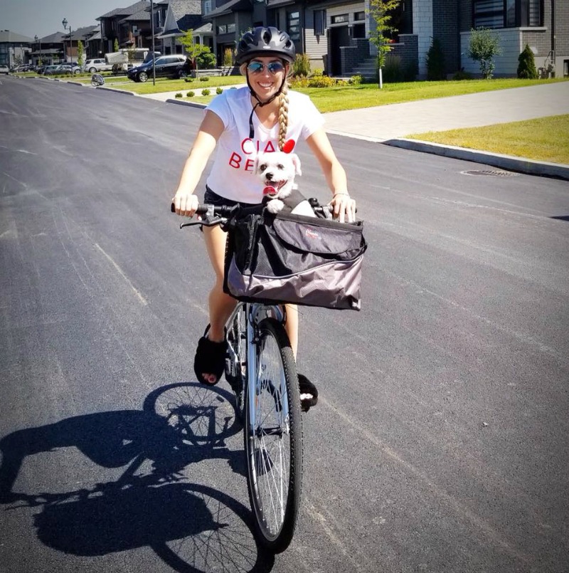 NOUVEAUTÉ MONDOU! PANIER À VÉLO POUR CHIEN